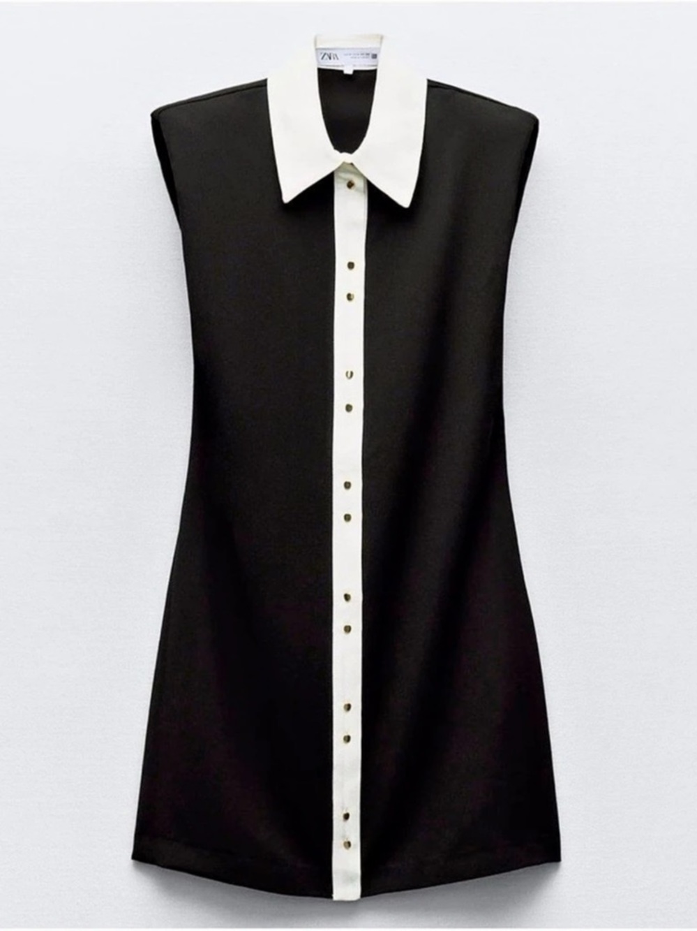 Zara Sleveless Crepe Mini Dress